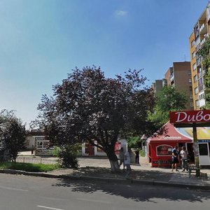 Prospekt Svobody, 56, Uzhhorod: photo