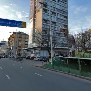 Velyka Vasylkivska Street, 51, Kyiv: photo