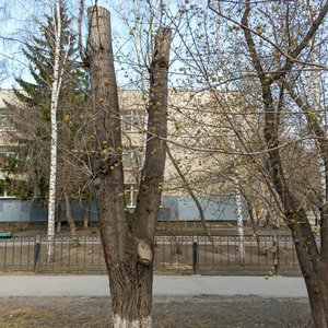 Karla Marksa Street, 33 ، يكاترينبورغ: صورة