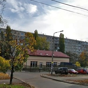 Dniprovska Embankment, 3А, Kyiv: photo