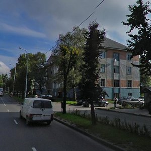 Aleksandra Nevskogo Street, 46, : foto