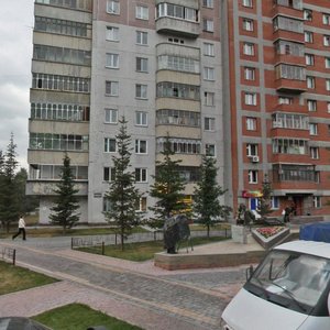 Dusi Kovalchuk Street, 7, Novosibirsk: photo