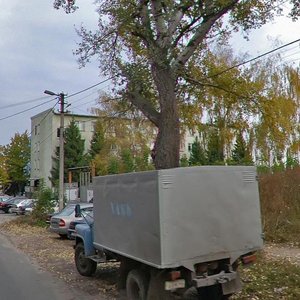 Dobrolyubova Street, 21, : foto