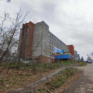Demidovskaya Street, 179, Tula: photo
