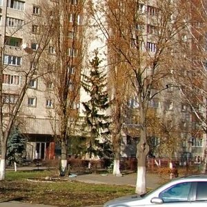 Simi Khokhlovykh Street, 1, Kyiv: photo