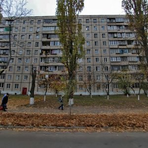 Simi Sosninykh Street, 16, Kyiv: photo