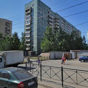 Udarnikov Avenue, 26, Saint Petersburg: photo