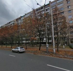 Marshala Yakubovskoho Street, 2, Kyiv: photo