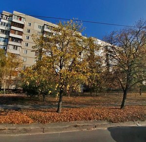 Raiduzhna Street, 69, Kyiv: photo