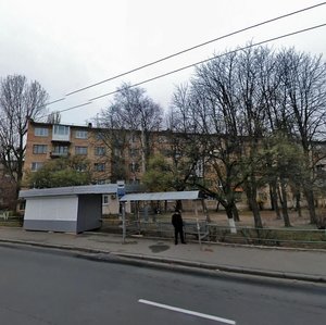 Nizhynska Street, 20, Kyiv: photo