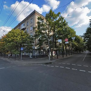 Voskresenska Street, 1Б, Dnipro: photo