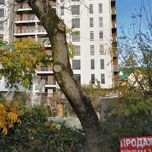 Prosvescheniya Street, 148, Sochi: photo