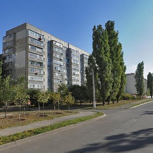 Lazurna vulytsia, 10В, Mykolaiv: photo