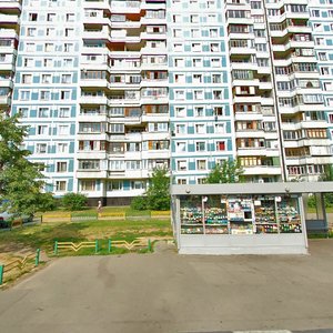 Biryulyovskaya Street, 45к1, Moscow: photo