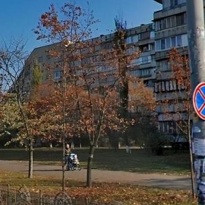 Marshala Tymoshenka Street, 2Г, Kyiv: photo