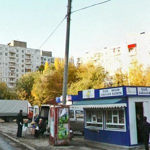 Voronezhskaya ulitsa, 141Б, Samara: photo