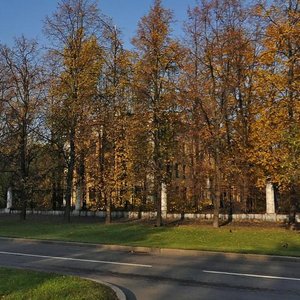 Leninskie Gory Territory, 1с10, Moscow: photo