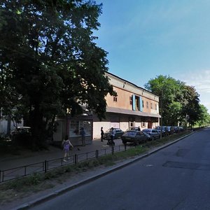 Dibunovskaya Street, 65, Saint Petersburg: photo