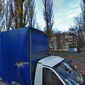 Vatslava Havela Boulevard, 85, Kyiv: photo