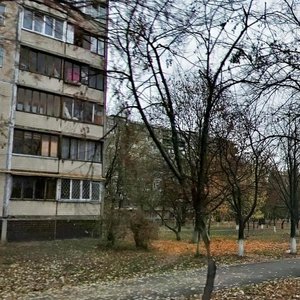 Mykoly Ushakova Street, No:12, Kiev: Fotoğraflar