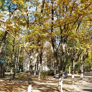 Mykhaila Dontsia Street, 12, Kyiv: photo