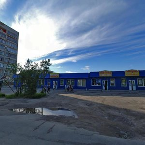 Vorovskogo Street, 22, Murmansk: photo