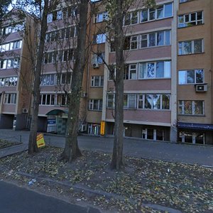 Nizhynska Street, 10, : foto