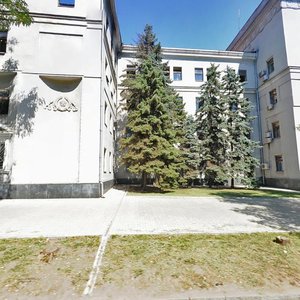 Starokozatska Street, 52, Dnipro: photo