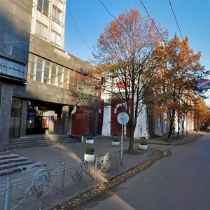 Moskovska Street, 8, Kyiv: photo