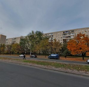 Vsevoloda Nestaika Street, 5, Kyiv: photo