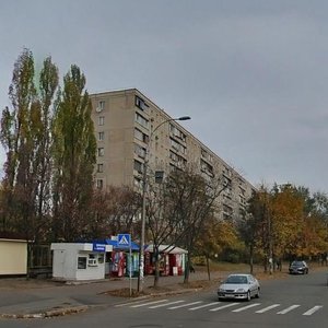 Vsevoloda Nestaika Street, 5, Kyiv: photo