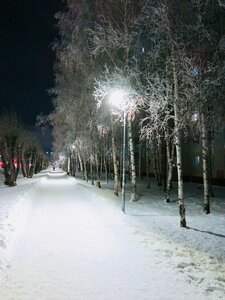 Mira Avenue, 20 ، : صورة