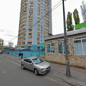 Mykhaila Kotelnykova Street, 1, Kyiv: photo