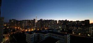 Turistskaya Street, 22Б ، سان بطرسبرغ: صورة