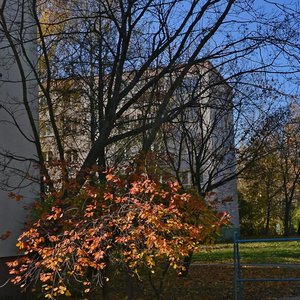 Kalinowskaga Street, 71, Minsk: photo