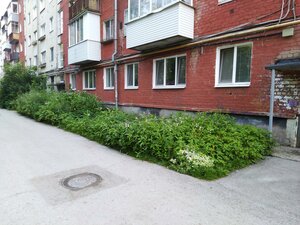 Ulitsa Akademika Vedeneyeva, No:77, Perm: Fotoğraflar