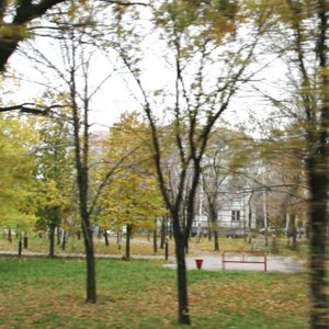Ulitsa Ostrovskogo, 11 ، : صورة