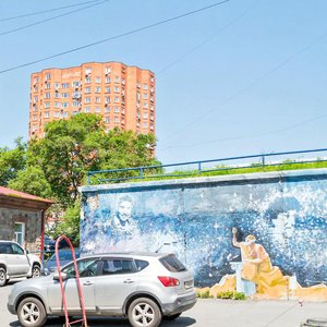 Stanyukovicha Street, 53, Vladivostok: photo