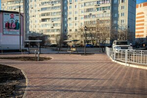 Благовещенск, Институтская улица, 1: фото