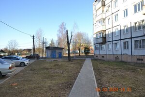 Posyolok Volodarskoye, 3 ، سانت بطرسبرغ ومقاطعة لينينغراد: صورة