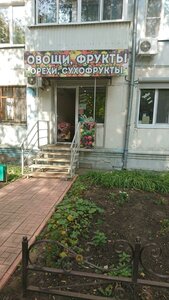 Gagarina Street, 60, Samara: photo