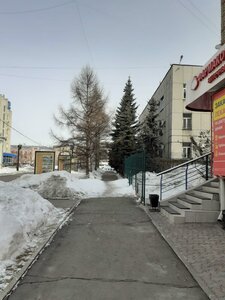 Омск, Улица Чапаева, 81: фото
