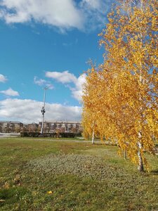 Lenina Avenue, 72, : foto