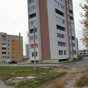 Vulytsia Holovatoho, 77Б, Boryspil: photo