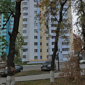 Nikolaya Chumichova Street, 64, : foto