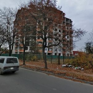Mykhaila Drai-Khmary Street, 44 ، كييف: صورة
