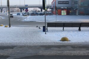 Ulitsa Berezovskogo, 19 ، أومسك: صورة