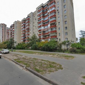 Leonida Bykova Boulevard, 6, Kyiv: photo