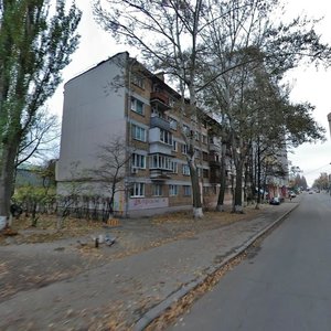 Volynska Street, 31, Kyiv: photo