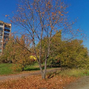 Kolomenskoye Highway, 1, Egorievsk: photo